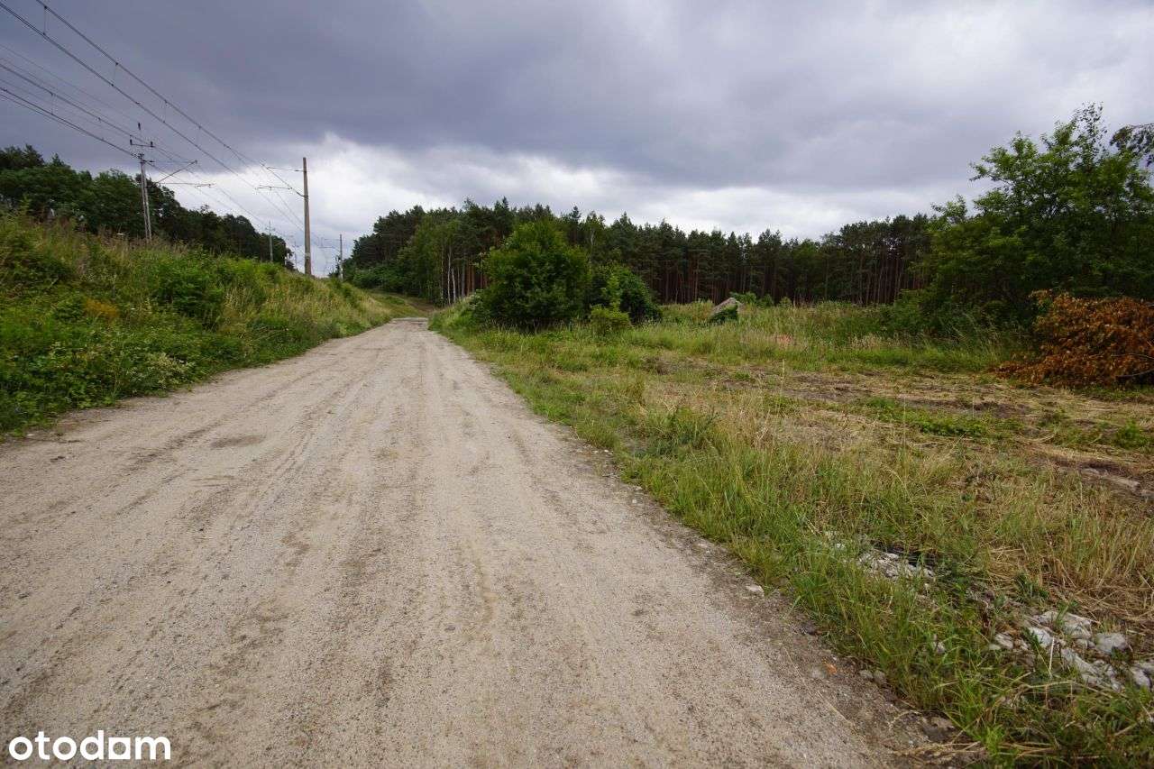 Działka 0,95ha Zielona Góra- Przylep - Pełny obrazek: 2/3