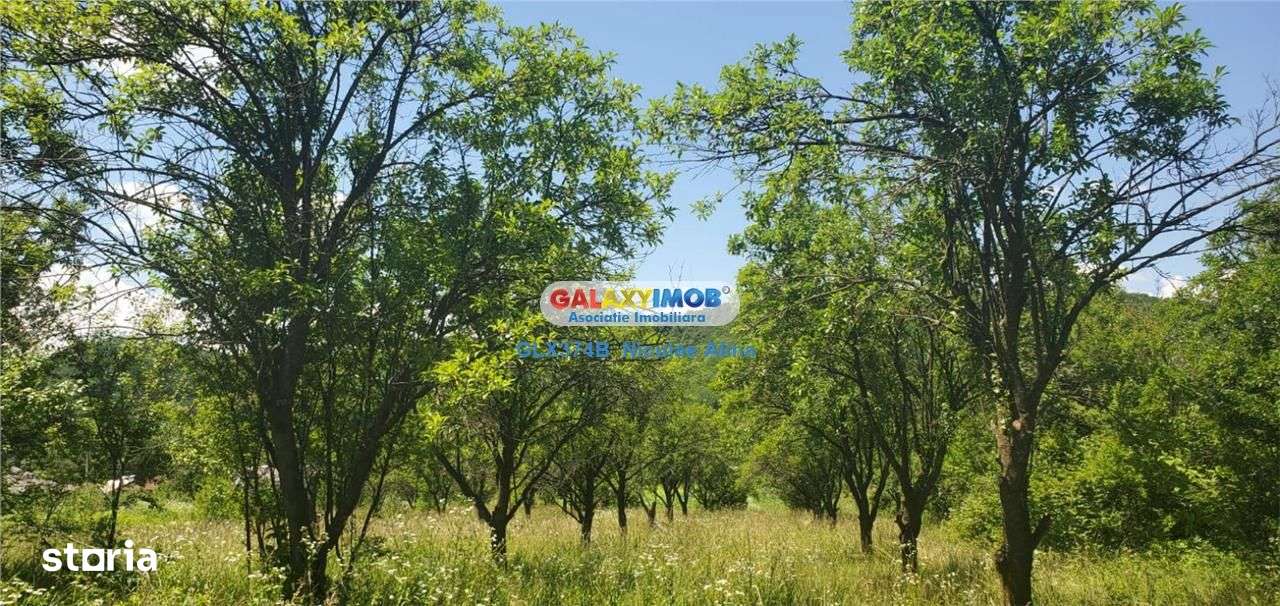 Teren intravilan comuna Bogati sat Birloi Jud. Arges - Imagine principală: 4/10