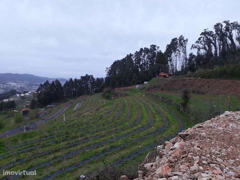 Terreno - São Pedro de Castelões