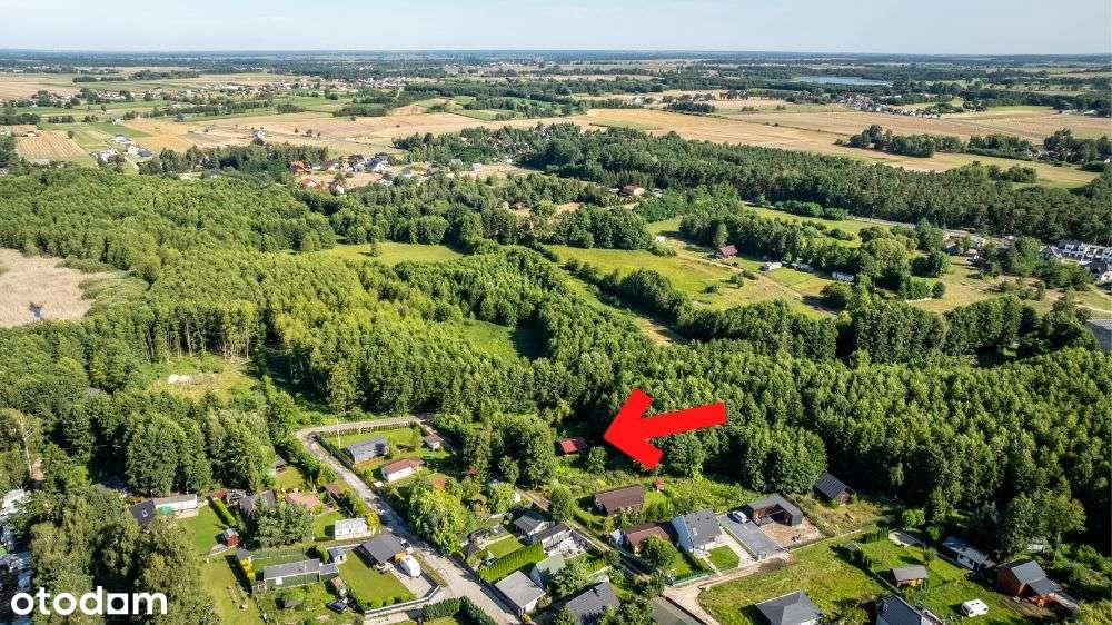 Zaciszna działka blisko jeziora - Boszkowo - Pełny obrazek: 5/20