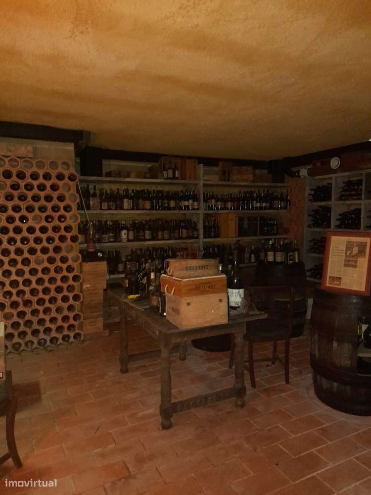 Azeitão/ Parque Natural Arrábida Quinta 7250 m2 com Moradia-9