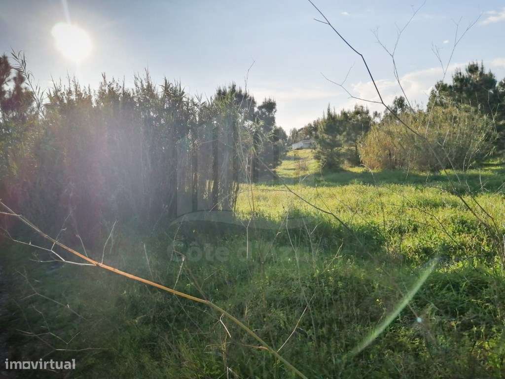 Terreno Rustico com 5.000m² - Grande imagem: 4/6