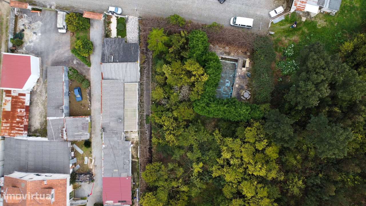 Quinta em Grijó com Piscina e Potencial para Alojamento Rural-5