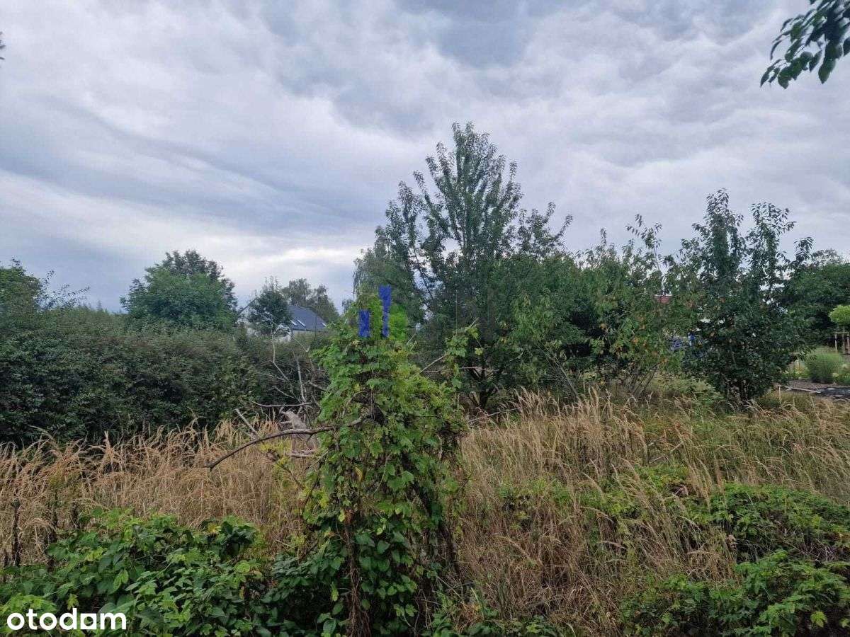 Działka, 1 500 m², Miłoszyce - Pełny obrazek: 4/10