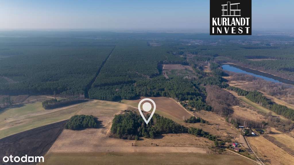 Działki w Borach Tucholskich Minikowo - Pełny obrazek: 4/6