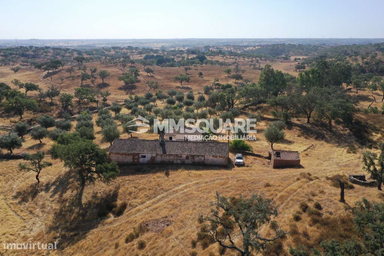 Monte do Chaparral — Ourique-23