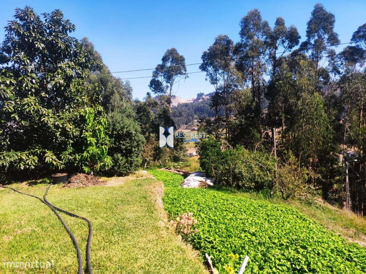 MORADIA INDEPENDENTE,REABILITAÇÃO, TERRENO 2.900M2, TELHADO,15MIN.FA-23