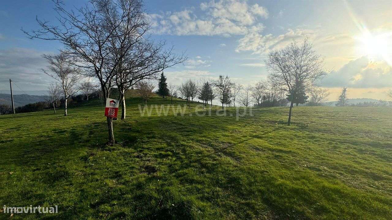 Terreno / Baião, Campelo e Ovil - Grande imagem: 4/7
