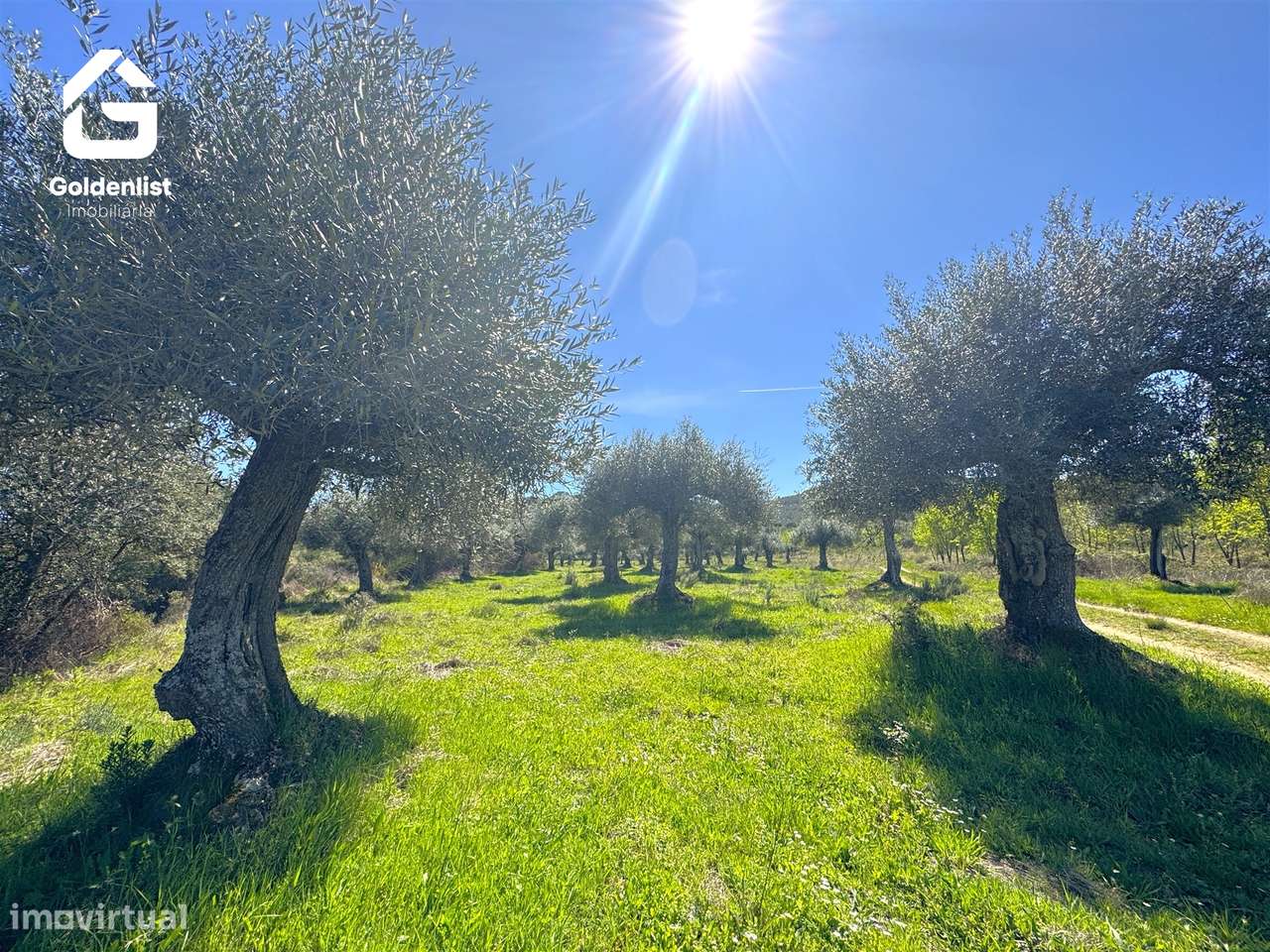 Herdade  Venda em Penamacor,Penamacor-32