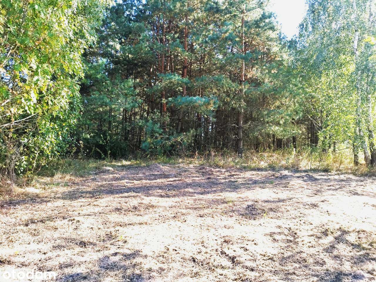 Malownicza działka z warunkami zabudowy-8