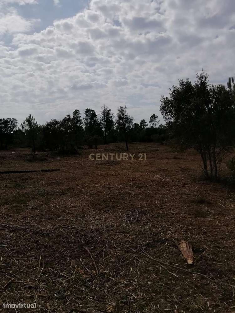 Terreno Rústico à Venda 23.000€ – Pernes, Malhou, Louriceira e Espinhe - Grande imagem: 3/17