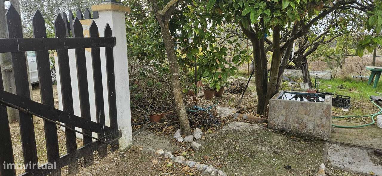 Moradia Térrea / Quintinha em Foros de Salvaterra-2