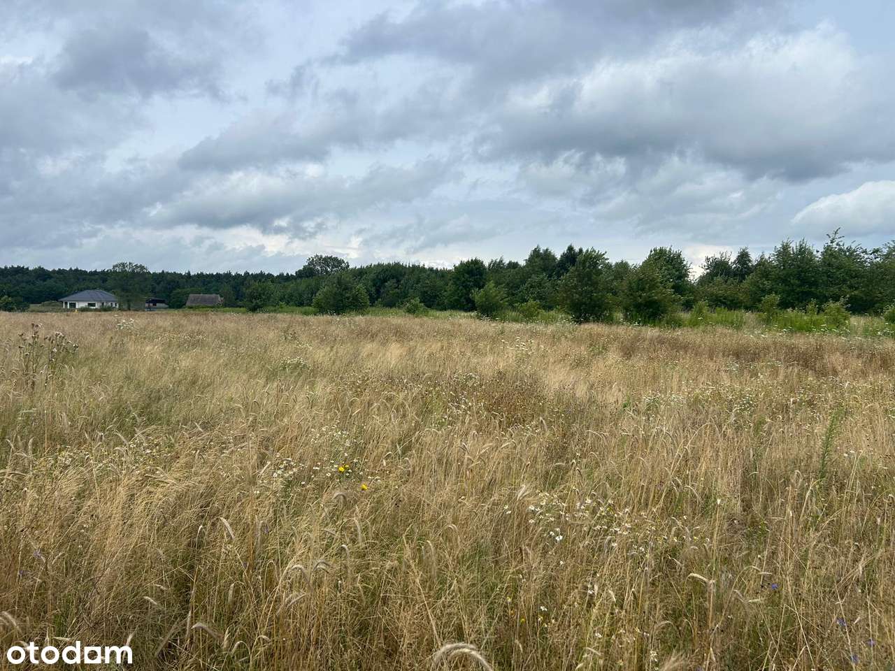 Działki budowlane z WZ, w zielonej części Poznania - Radojewo! - Pełny obrazek: 1/5