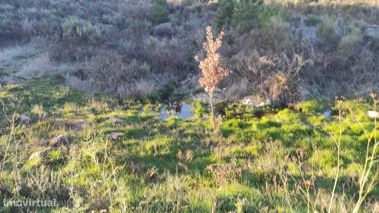 Quinta com vista deslumbrante para a Serra da Estrela 17500€-15