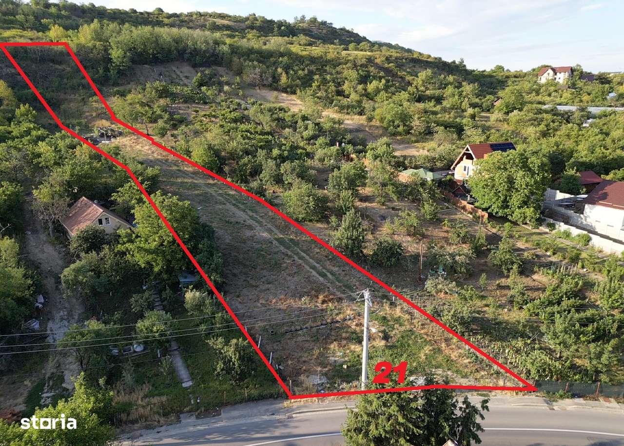Teren intravilan 3.300 mp  in Podgoria - IMOBIHOR - Imagine principală: 2/6