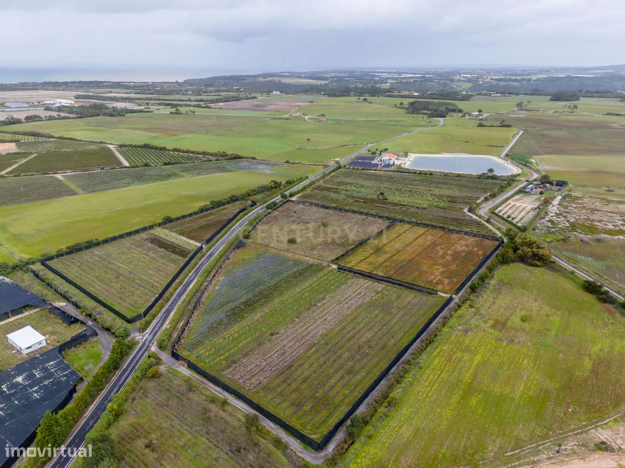 Negócio de Flores - Grande imagem: 4/24