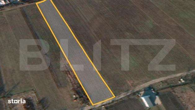 Teren intravilan, 5800 mp, 24 ml front, Jucu de Mijloc - Imagine principală: 2/2