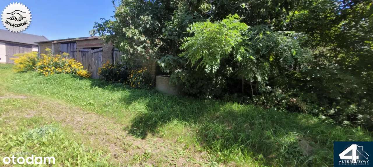 Gospodarstwo rolne z ogromnym potencjałem ! - Pełny obrazek: 5/10