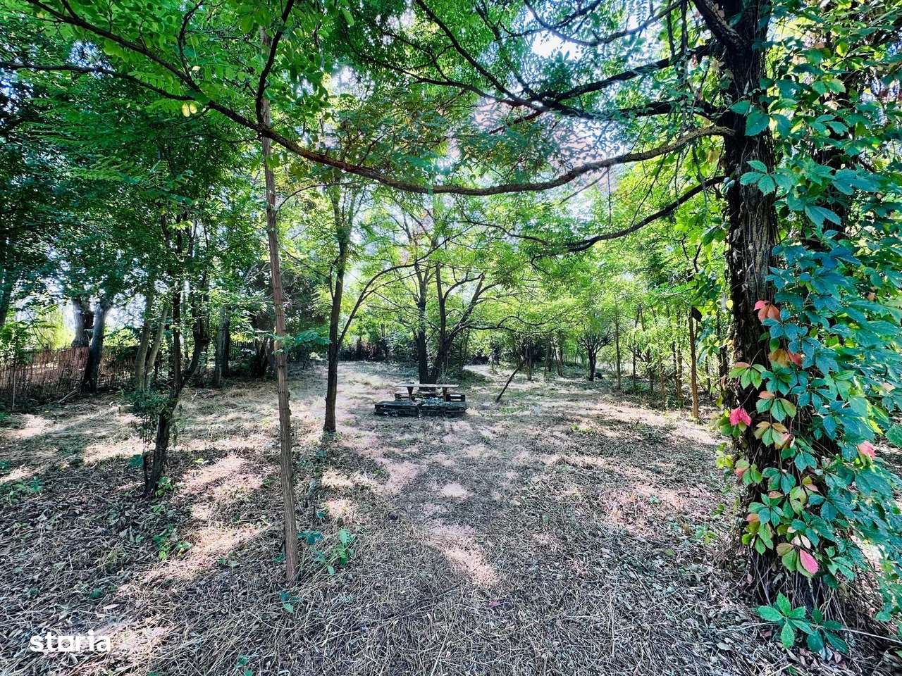 Teren intravilan 1500mp in Livedea, Ialomita - Imagine principală: 4/17