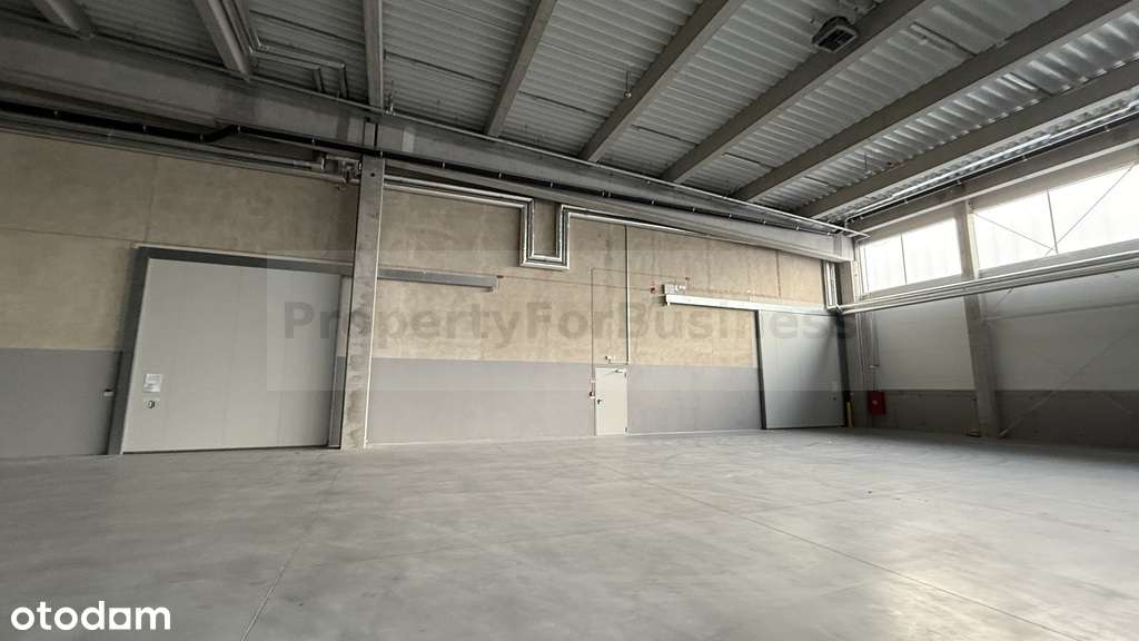 Nowoczesny magazyn klasy "A" - Pełny obrazek: 4/8