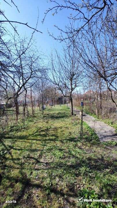 Casa alipita, singur in curte, 90 mp utili, anexe, teren 625mp, Db Rot - Imagine principală: 3/13