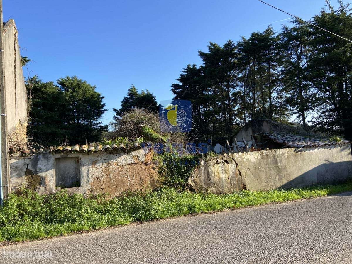 Terreno Salir de Matos - Grande imagem: 5/13