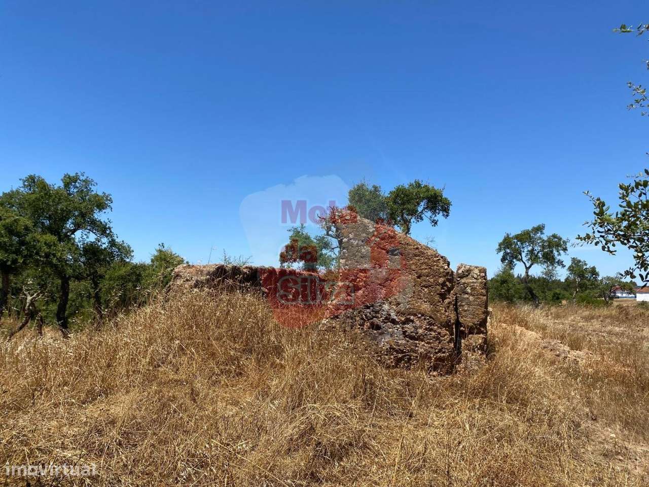 Herdade com ruína em Abela Santiago do Cacém - Grande imagem: 5/22