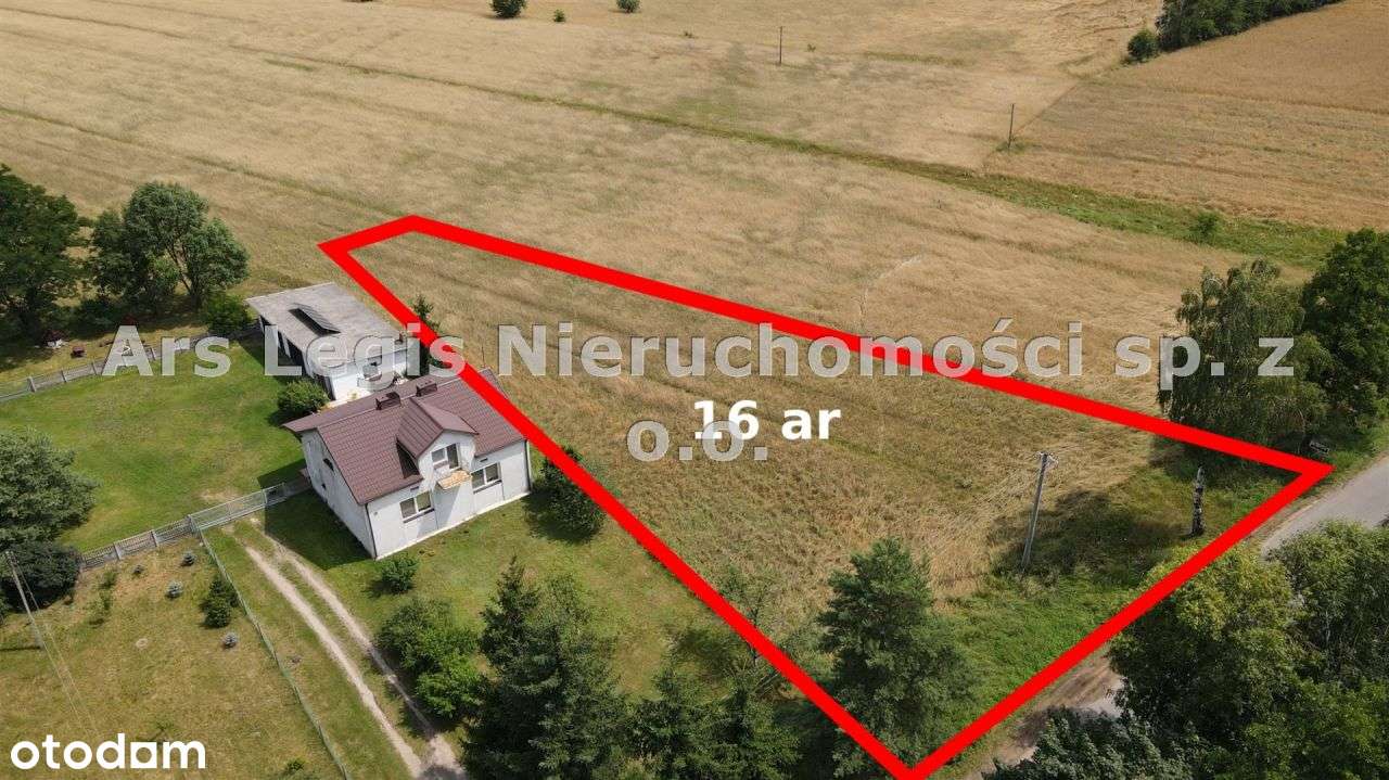 Działka, 1 649 m², Laski - Pełny obrazek: 4/5