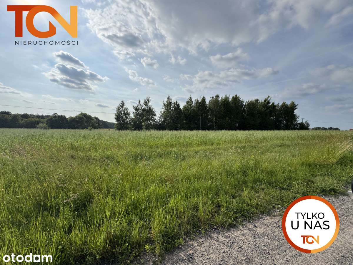 s742160 - Pełny obrazek: 5/6