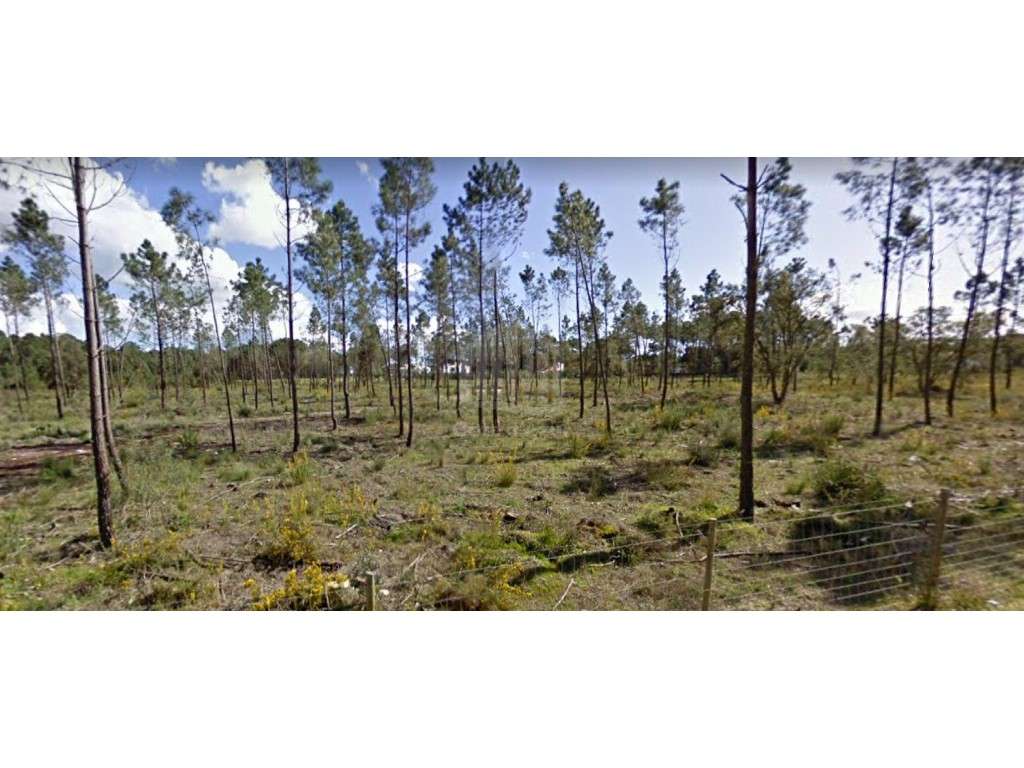 Terreno urbano para construção de 28 fogos - Grande imagem: 2/3