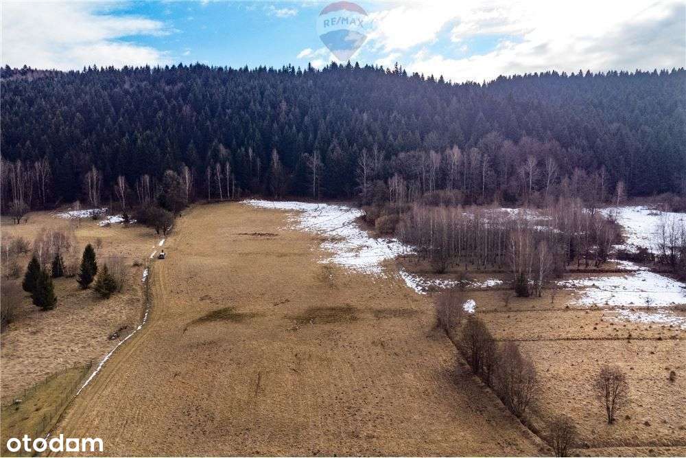 Duża 20 arów z dużym 2 Ha prywatnym lasem - Pełny obrazek: 4/20