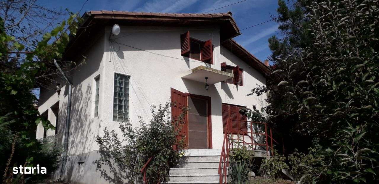 Adunatii Copaceni - Imagine principală: 2/17