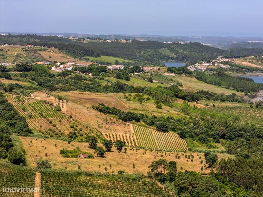 Terreno com ruína em Óbidos - Grande imagem: 5/20