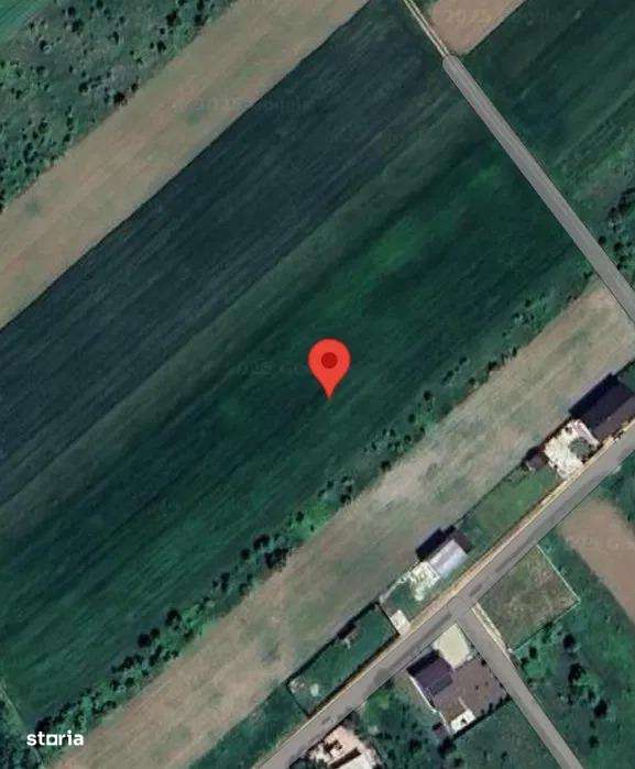 Teren Intravilan Cosoba 5600 mp,langa padure - Imagine principală: 2/2