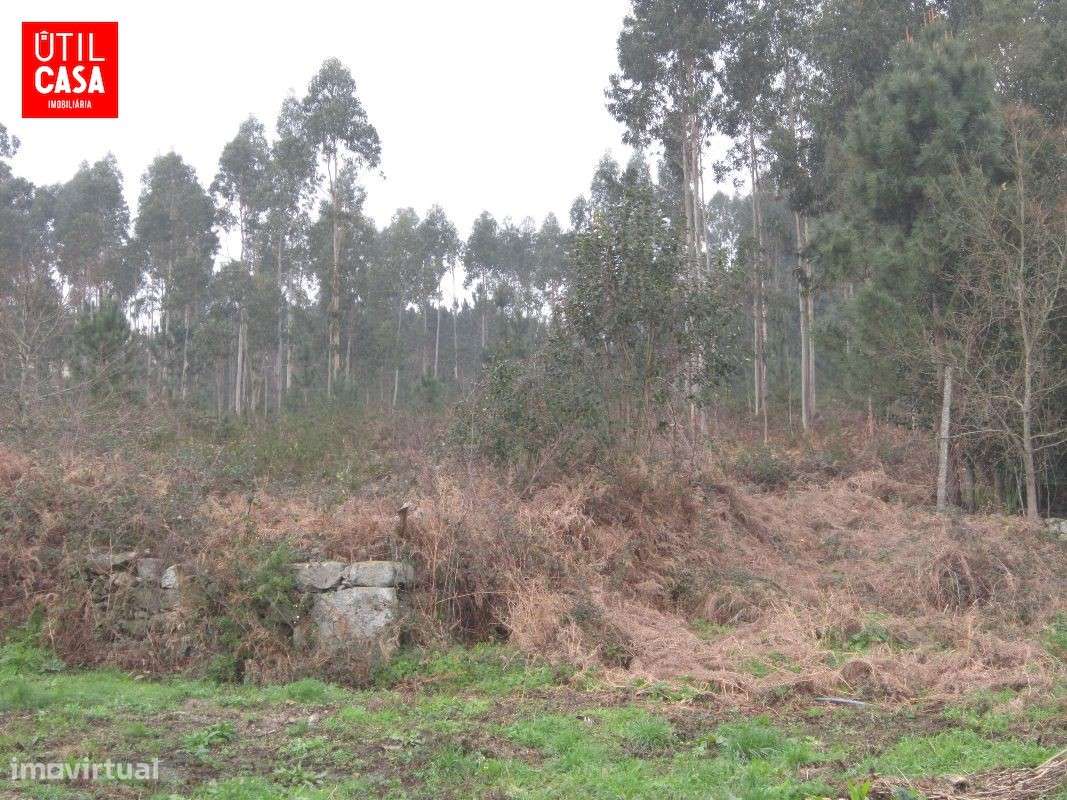 Terreno em Fragoso - Zona Industrial - Grande imagem: 4/5