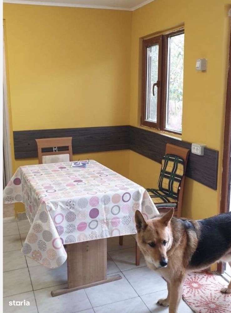 Casa singur in curte Central ,Oportunitate!-3