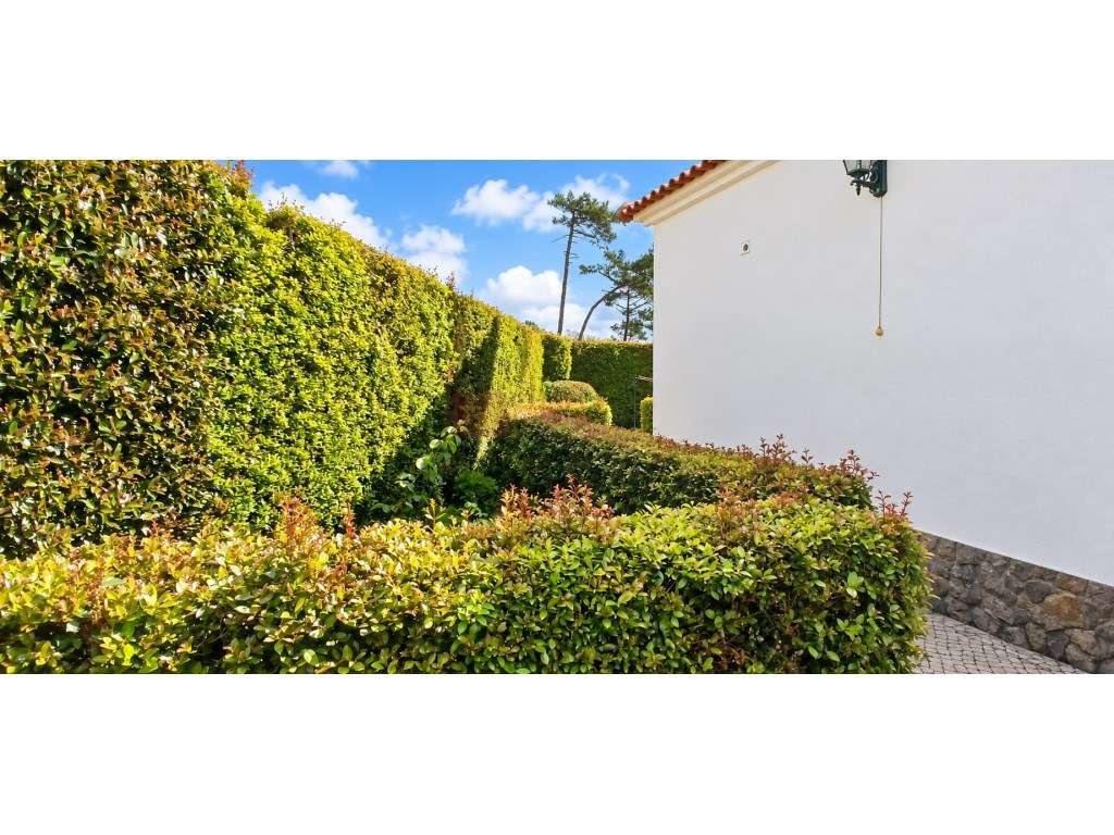 Moradia Isolada na Lagoa - Mafra-30
