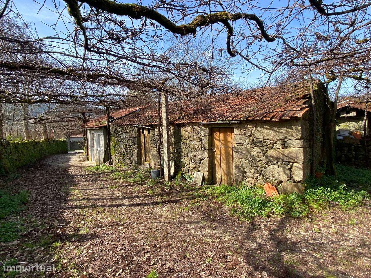 Quintinha com moradia em pedra para restauro com 2.000m2 de terreno.-10