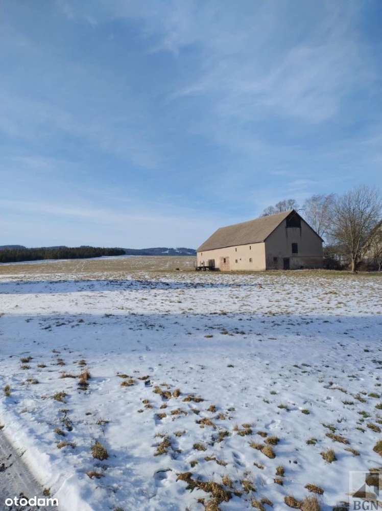 Działka 800 mkw + stodoła - Olszyny-Kamienna Góra - Pełny obrazek: 4/9