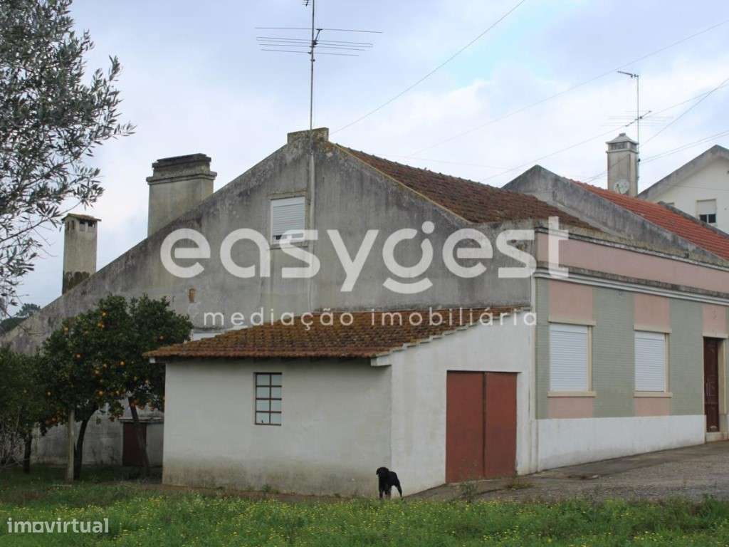 Moradia T3 Térrea, inserida num terreno com mais de 6 000 m2 - Grande imagem: 3/17