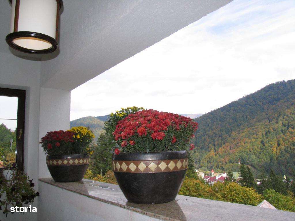 Pensiune functionala cu 21 de camere -Sinaia-Central-4