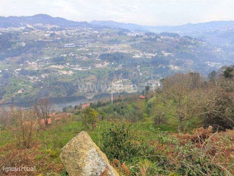 Terreno / Cinfães, Espadanedo - Grande imagem: 3/13