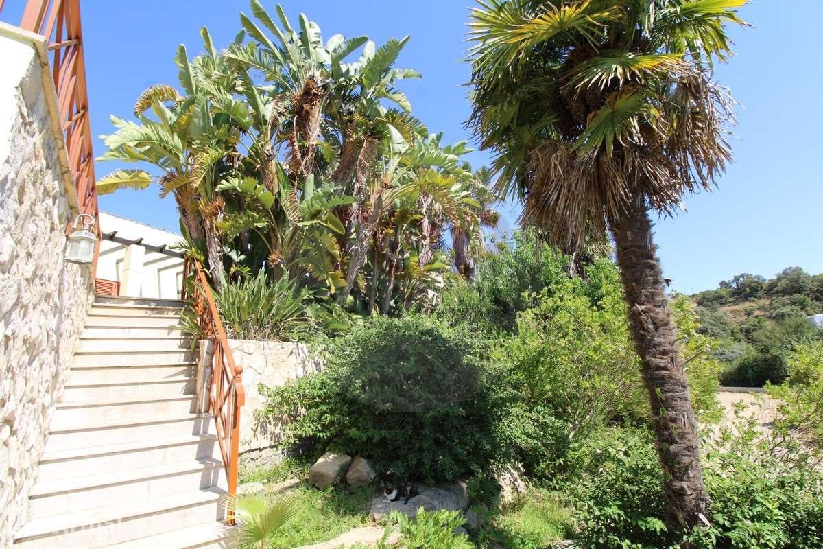 Moradia Isolada T6 com Vista Magnífica sobre a Serra em Estoi - Grande imagem: 3/60