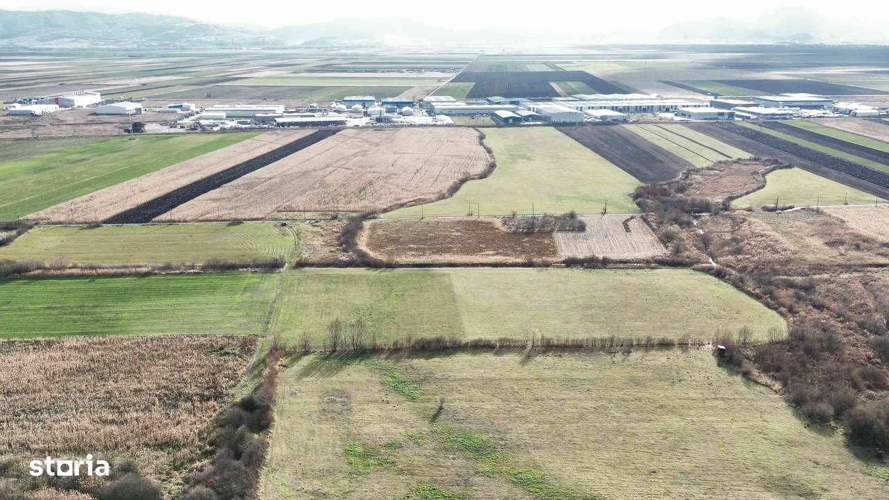 Teren 5 hectare de vanzare prejmer Brasov-9