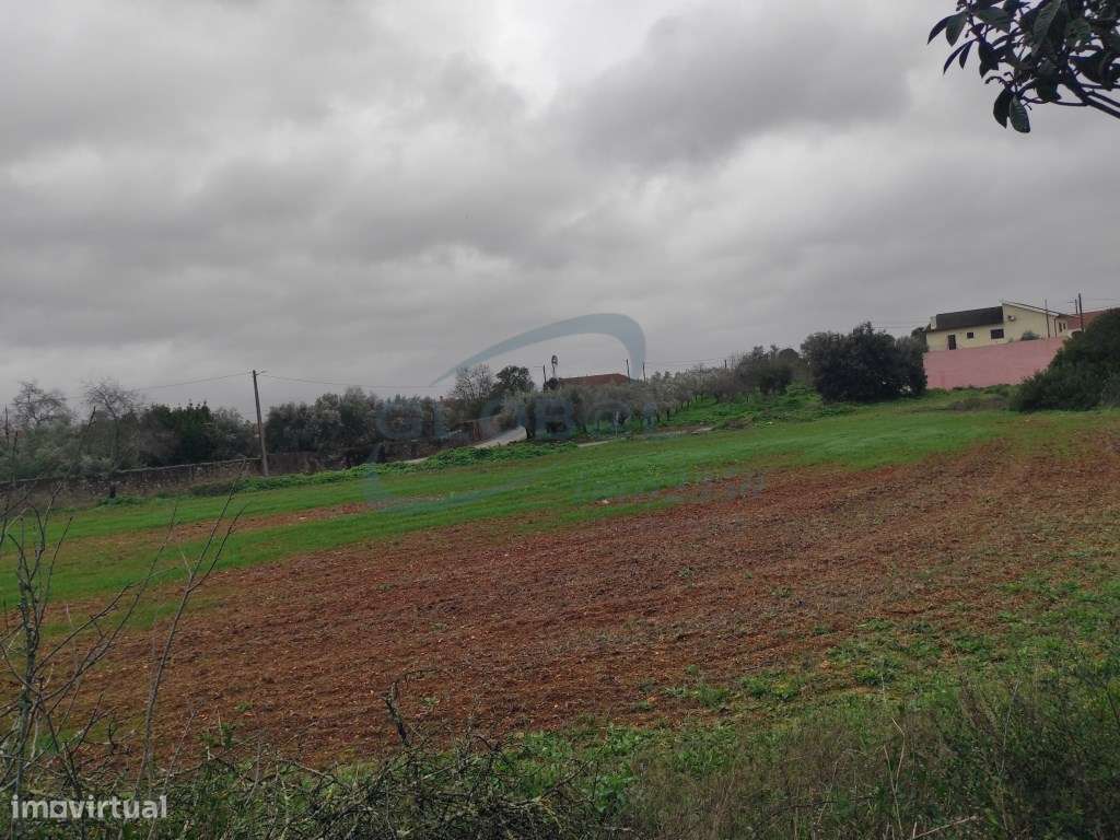 Terreno rústico em Malhou - Alcanena - Grande imagem: 5/11