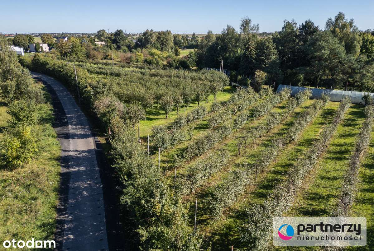 Działka ok. 1ha inwestycyjna Mpzp Subkowy - Pełny obrazek: 5/15