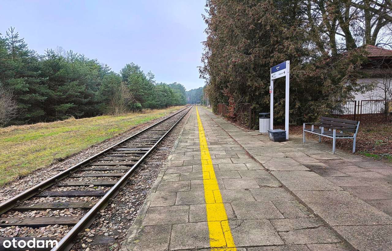 Siedlisko na Roztoczu, gmina Susiec-19