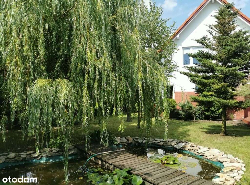 Dom wolnostojący z dużą działką Kruszyn Krajeński - Pełny obrazek: 4/20