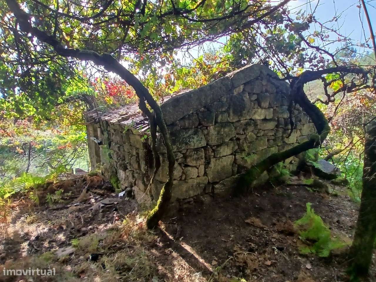 Terreno rústico com casa em pedra para recuperar – Soajo, Arcos de Val-4