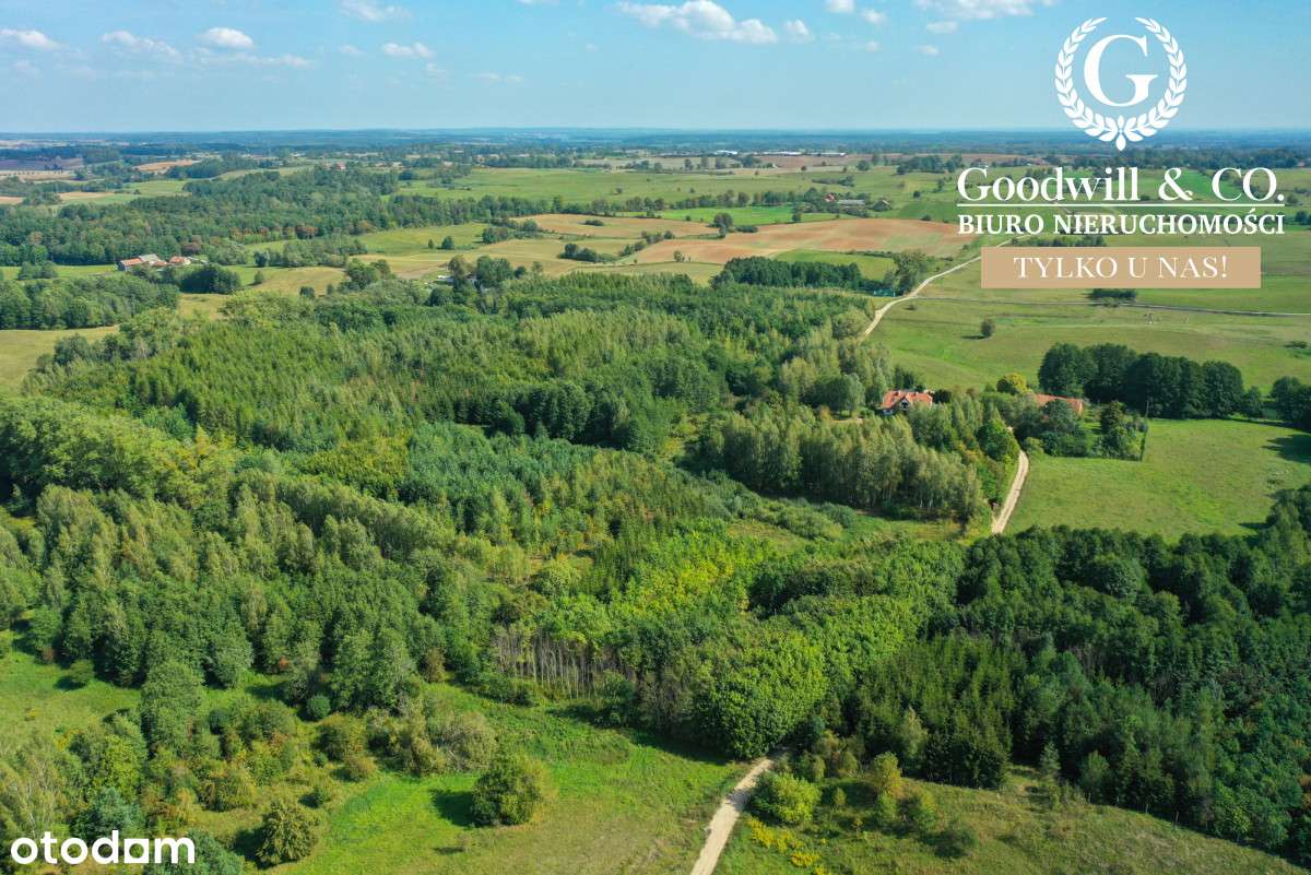 Piękna działka 700m od jeziora! - Pełny obrazek: 2/16